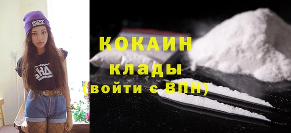 хмурый Магас