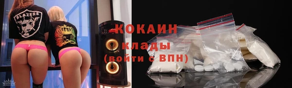 хмурый Магас