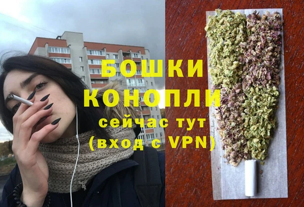 хмурый Магас