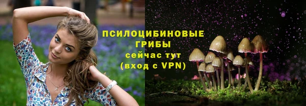 хмурый Магас