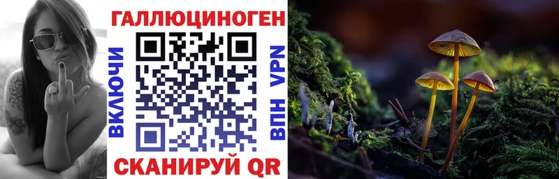 Галлюциногенные грибы GOLDEN TEACHER  Яхрома 